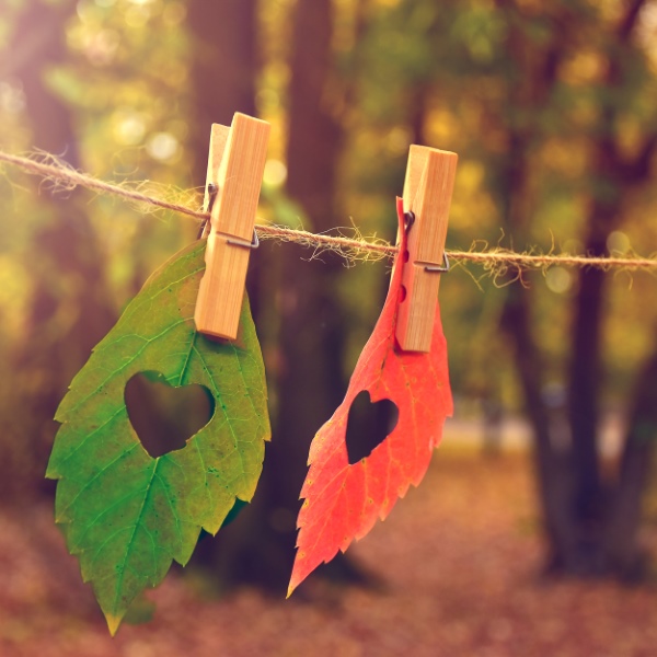 Love Fall - 33x33 lautasliinat - 193611 - 1