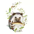 Forest Hedgehog - 33x33 lautasliinat - 207462 - 1