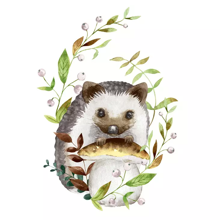 Forest Hedgehog - 33x33 lautasliinat - 207462 - 1