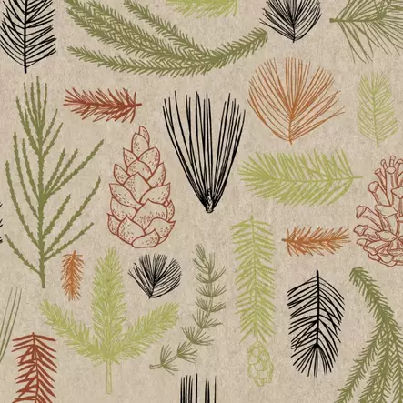 Forest finds - 33x33 lautasliinat - 203433 - 1