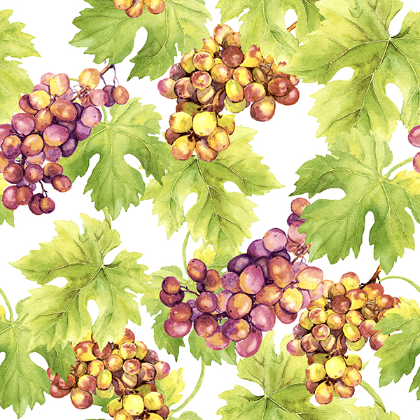 Grapes - 24x24 lautasliinat - 195233 - 1