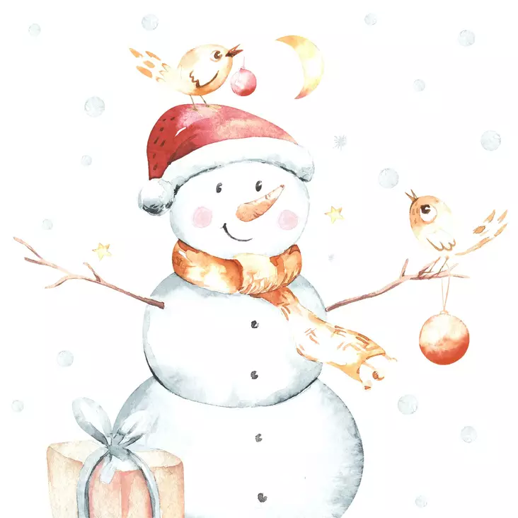 Snowy & Birds - 33x33 lautasliinat - 207494 - 1