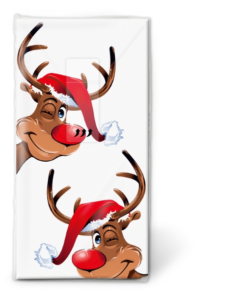 TT Rudolph - Nenäliinat - 193715 - 1