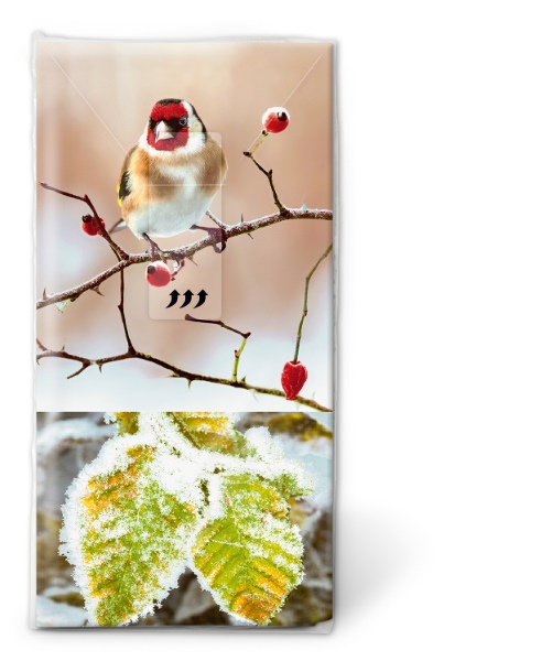 TT Saison d'hiver - Nenäliinat - 01437 - 1