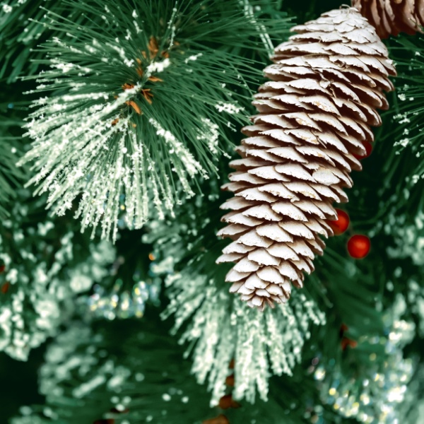 Lone cone - 33x33 lautasliinat - 203478 - 1